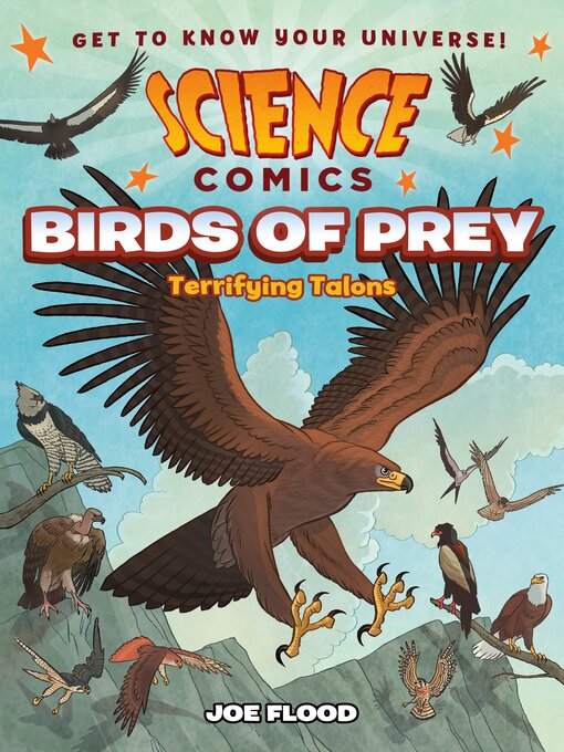 Title details for Birds of Prey by Joe Flood - Wait list